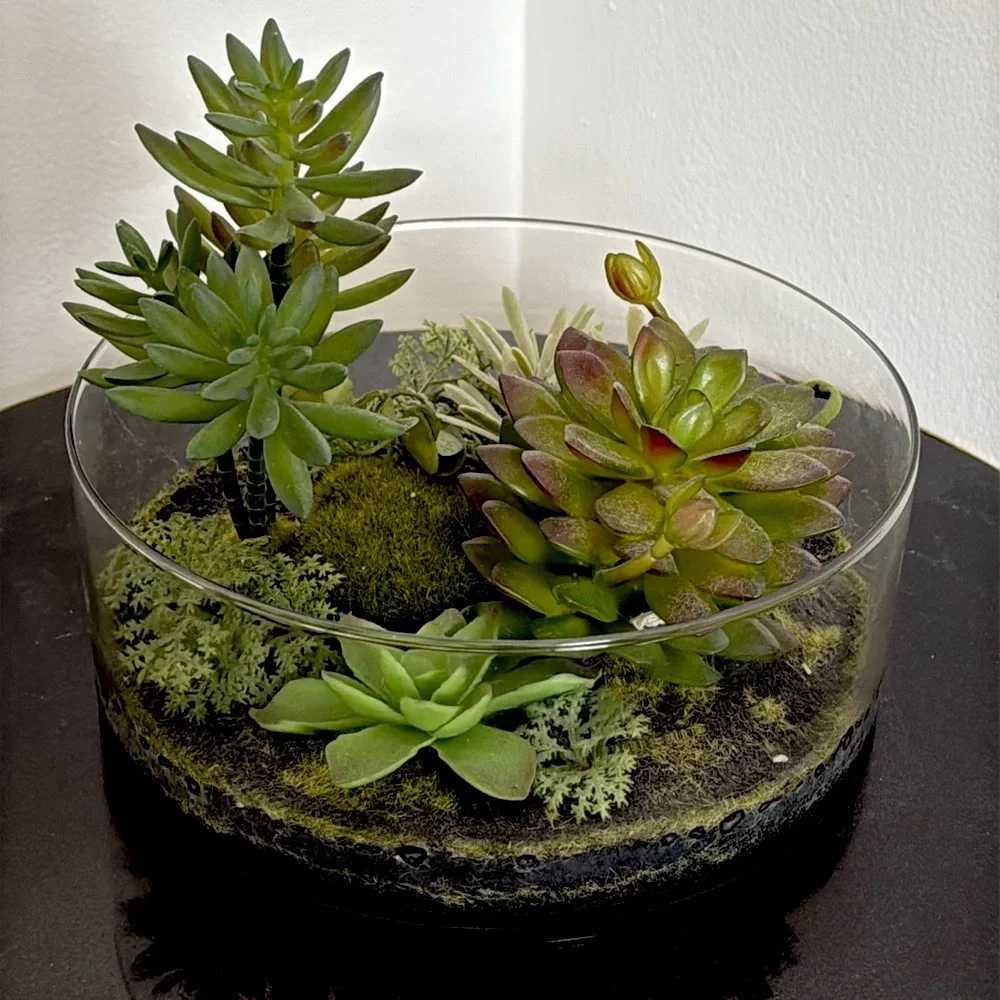 Target Threshold. Succulents in terrarium Glass bowl arrangement.